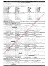 Bài tập bổ trợ môn Tiếng Anh Lớp 12 thí điểm - Unit 5 Cultural identity - Đỗ Bình